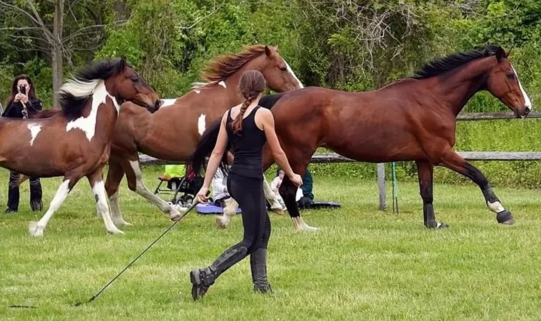 Principles and Fundamentals Course