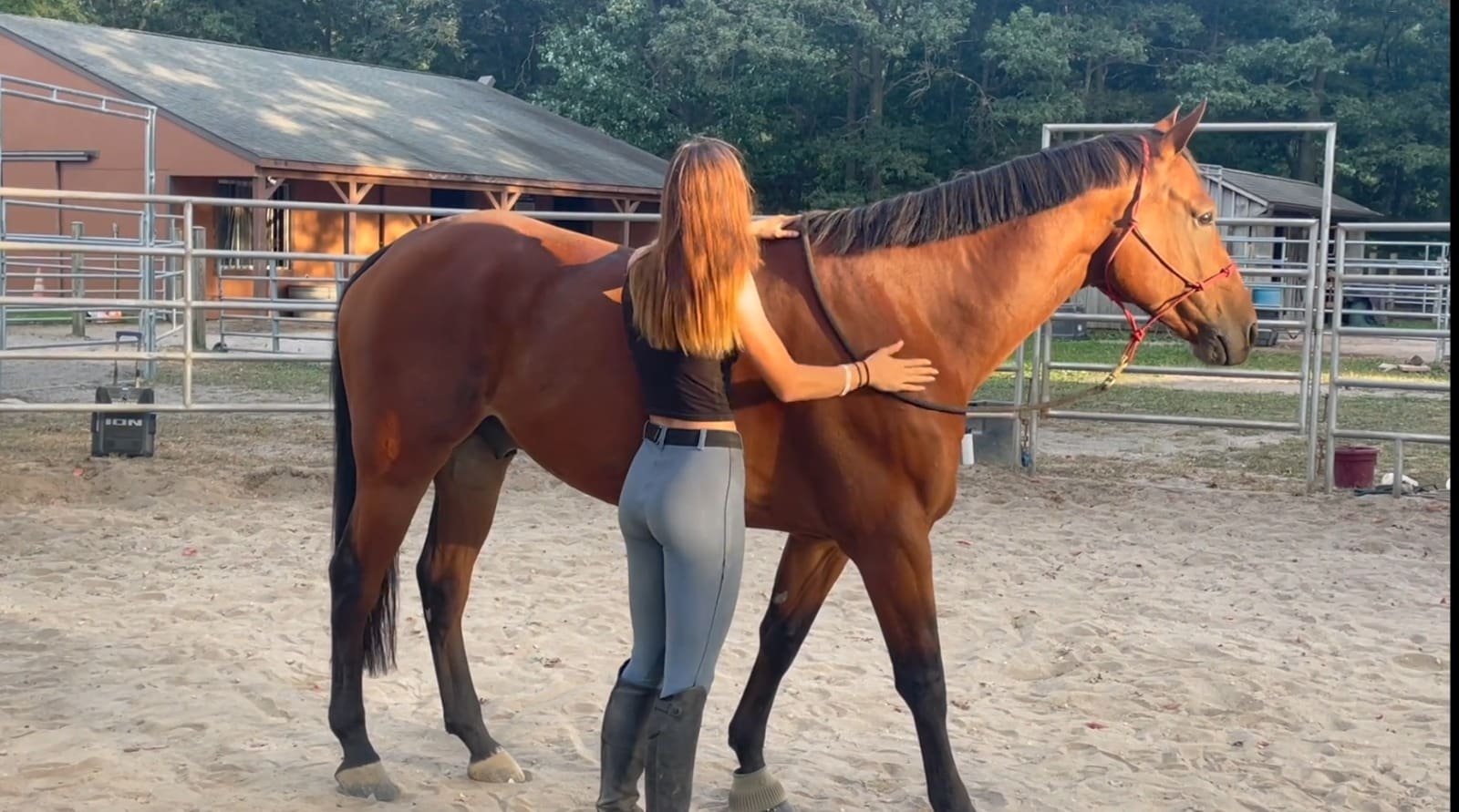 Giving to Pressure, Lateral and Vertical Flexion.